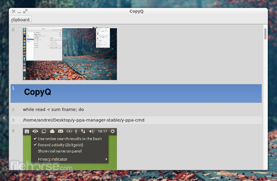 CopyQ screenshot 1