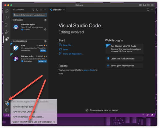 GitHub Copilot screenshot 2