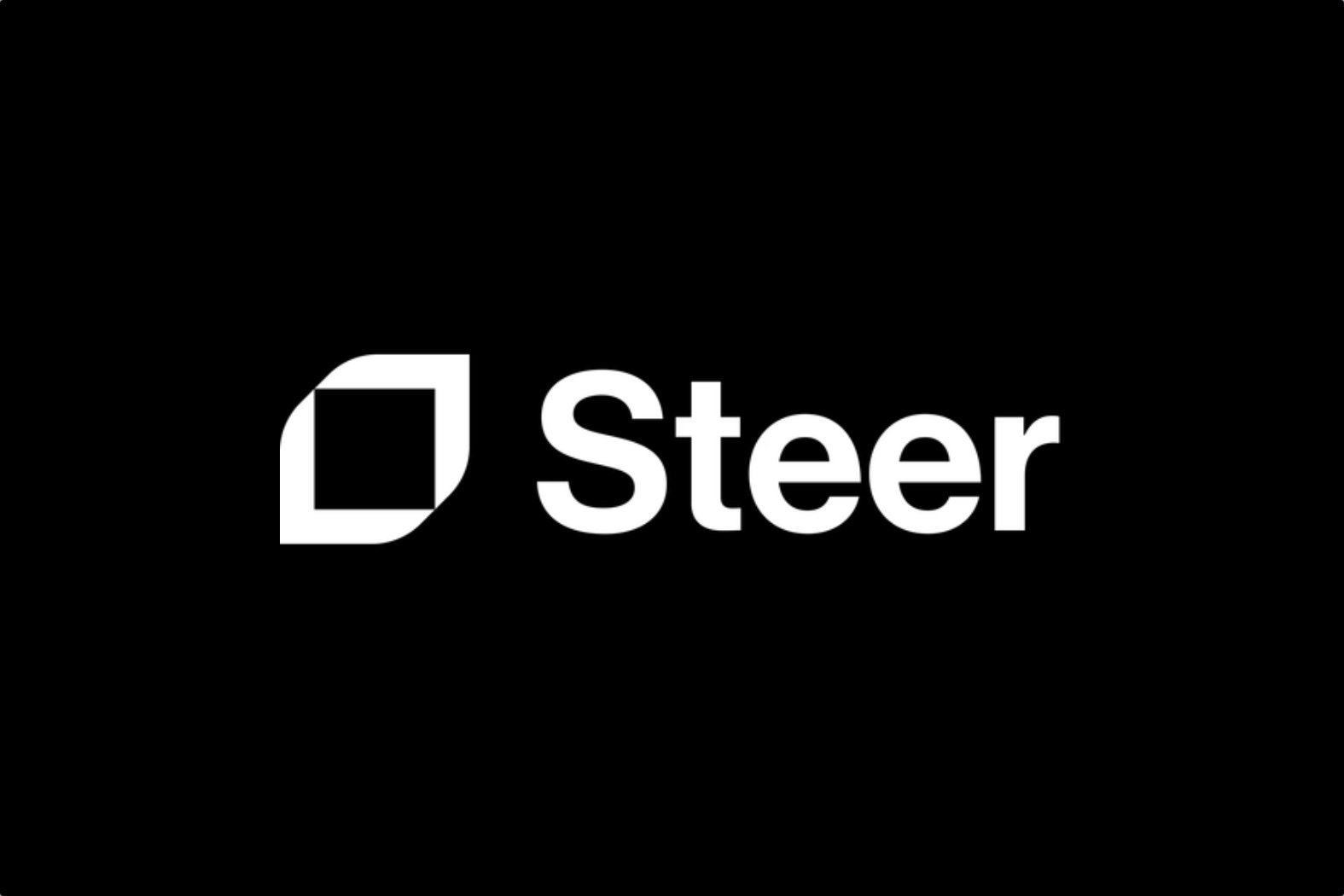 Steer screenshot 3