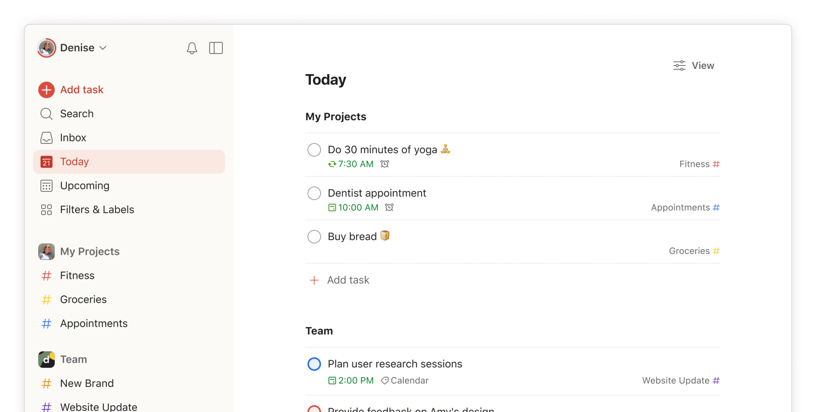 Todoist screenshot 1